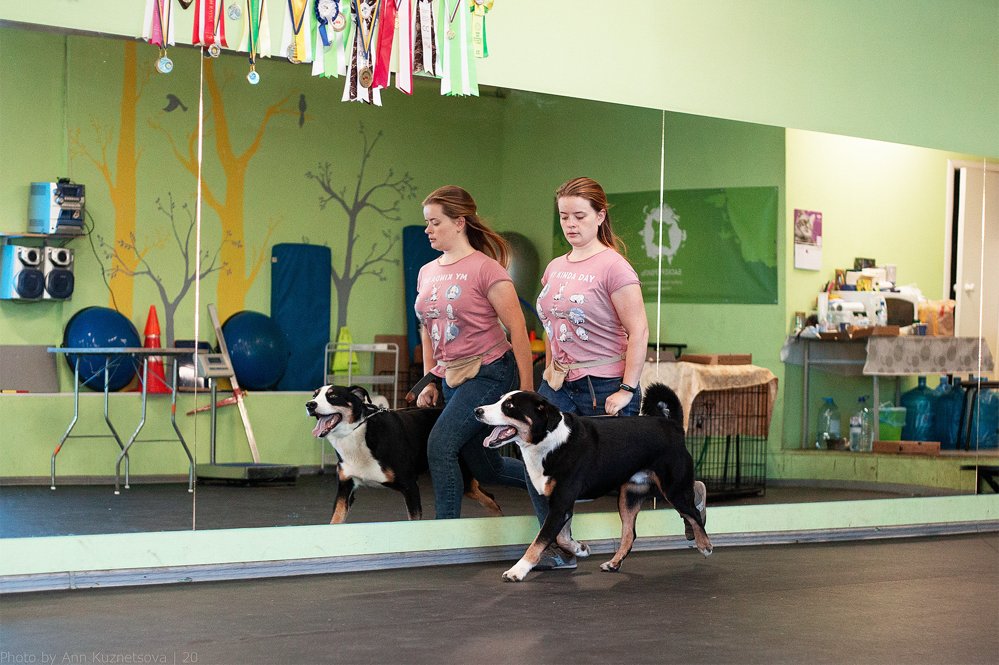 СЕМИНАР «Взгляд судьи из ринга». НРОО КЦ "Собаковод"