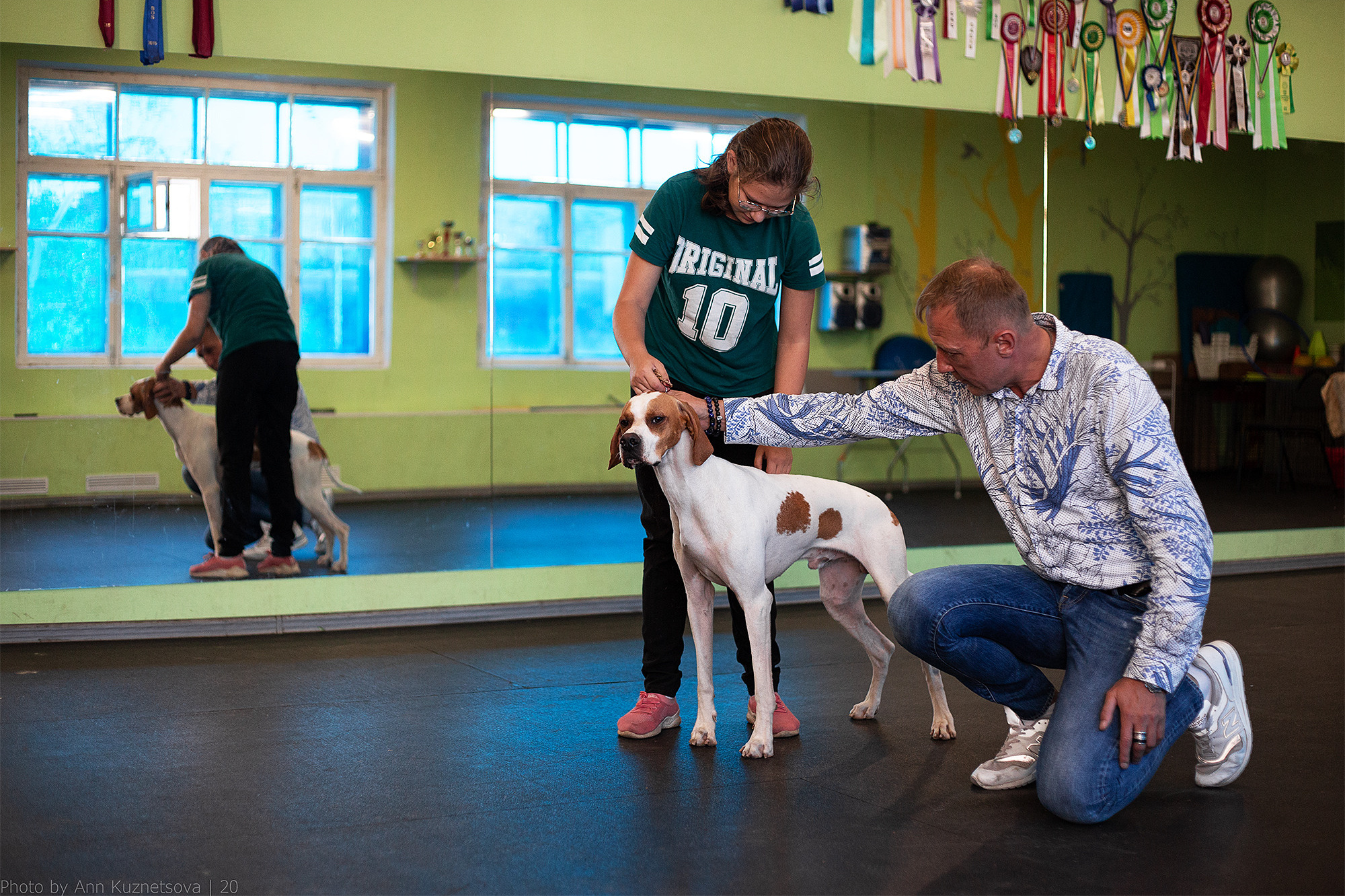 СЕМИНАР «Взгляд судьи из ринга». НРОО КЦ "Собаковод"