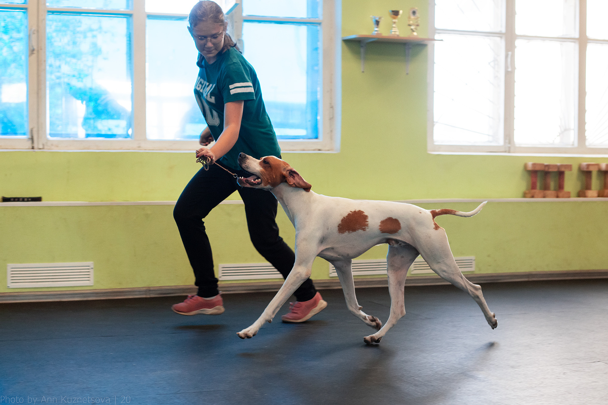 СЕМИНАР «Взгляд судьи из ринга». НРОО КЦ "Собаковод"