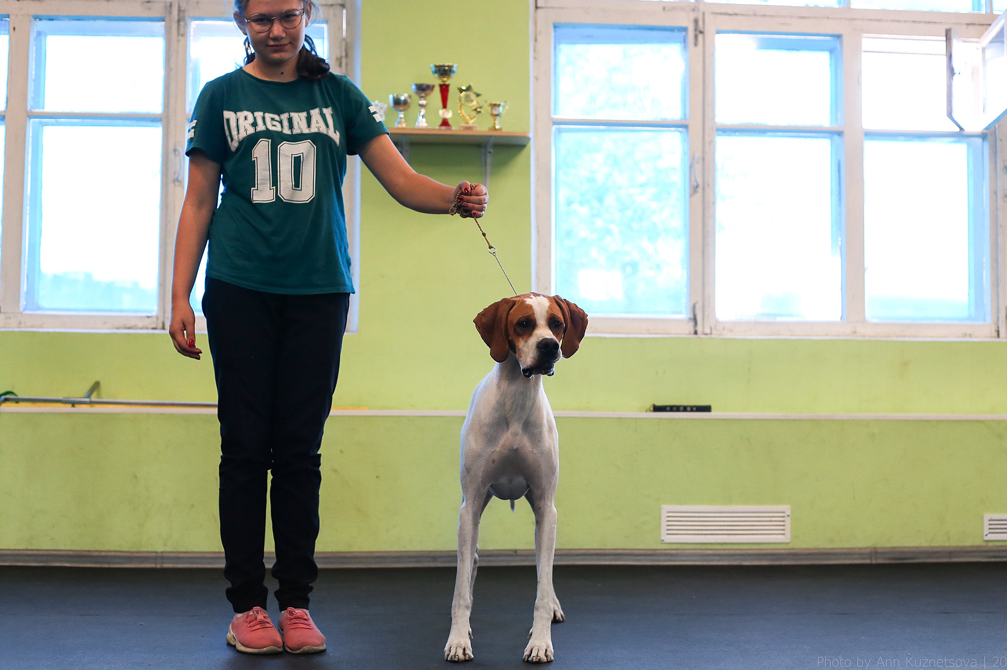 СЕМИНАР «Взгляд судьи из ринга». НРОО КЦ "Собаковод"