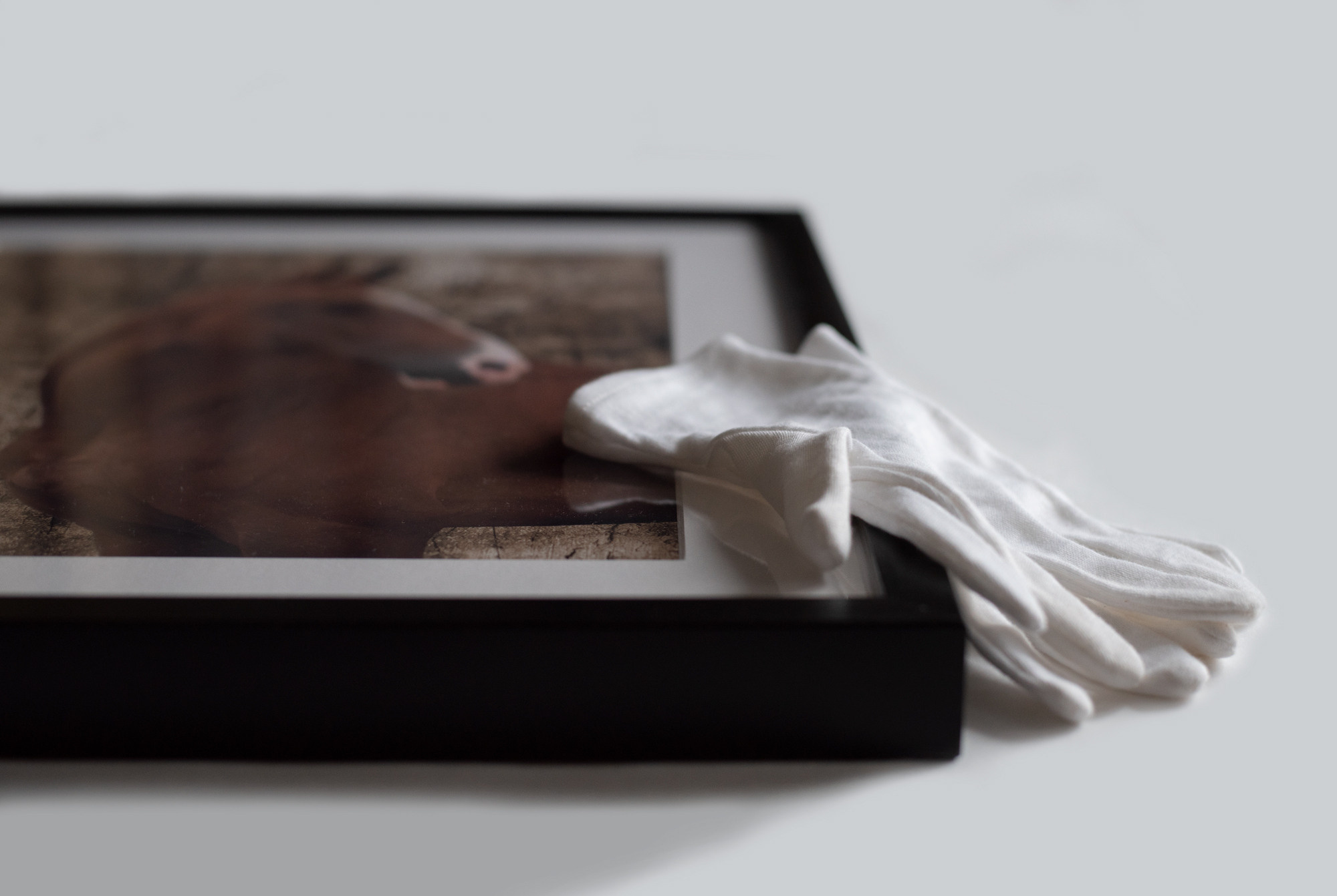 фотограф, фотовыставка, фотограф в СПб, питер фотограф, конный фотограф, съемка лошадей, конная фотография, профессиональный фотограф, фото лошадей, портреты лошадей, фото с лошадьми, заказать съемку лошади, авторские фотографии, публикации в изданиях, росфото, National Geographic, фотограф питер, конный фотограф спб, фотограф санкт-петербург