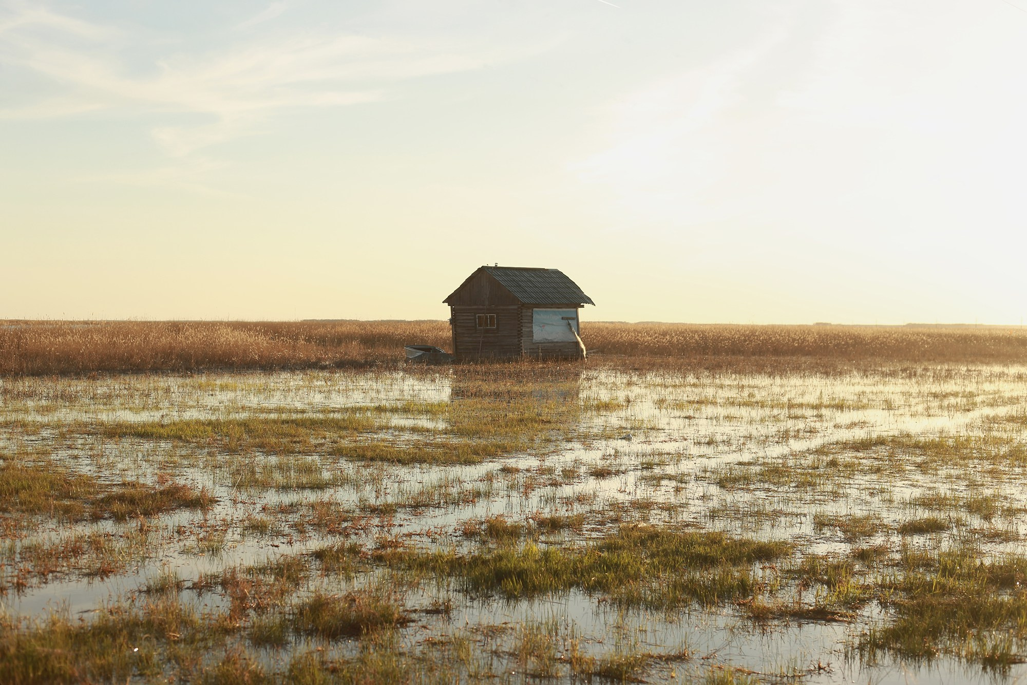 Старенькие дети: Лариса. Юлия Алтухова, мультимедиа художница