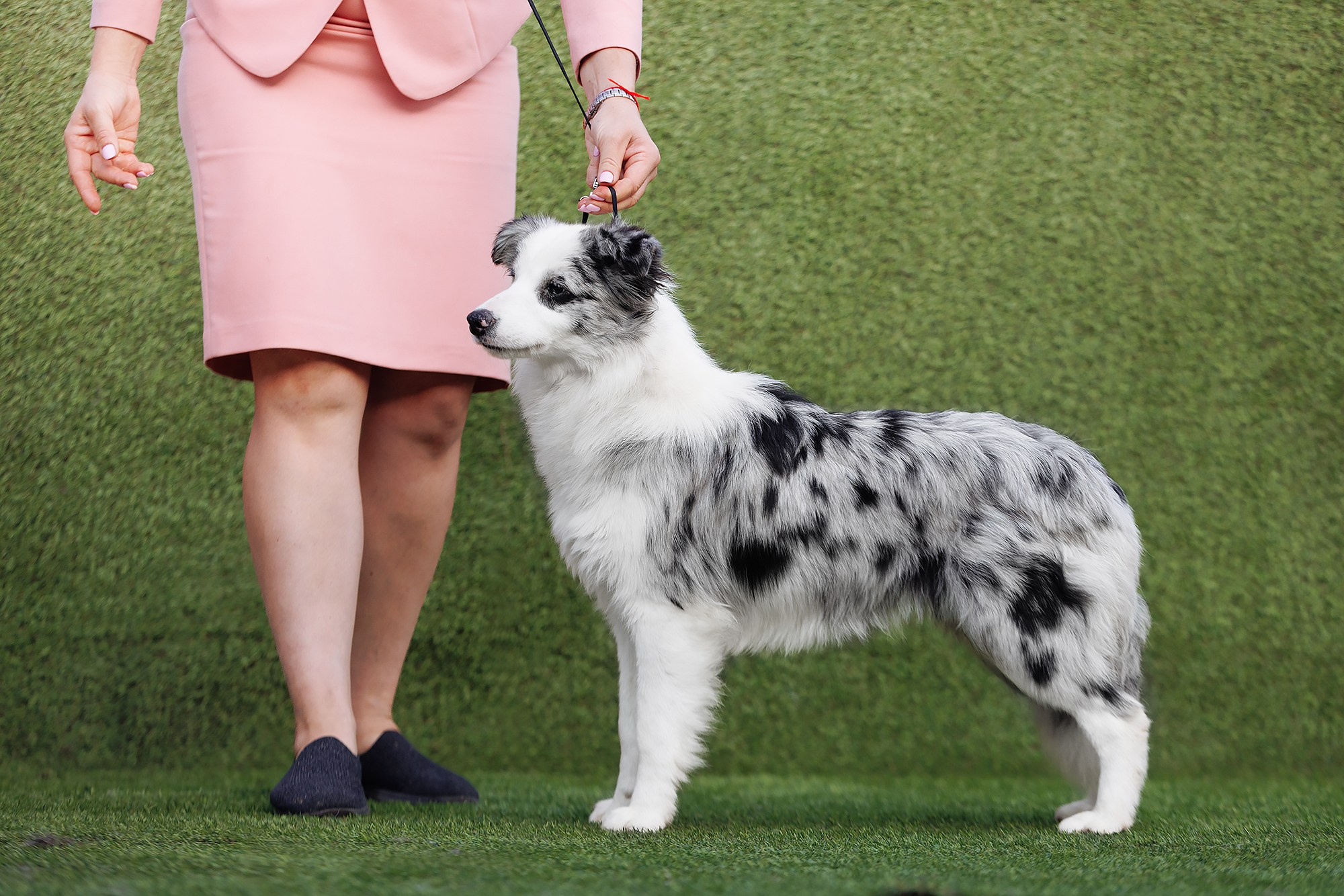 Ryzhaya Molniya Oblepiha — Люся. О нас