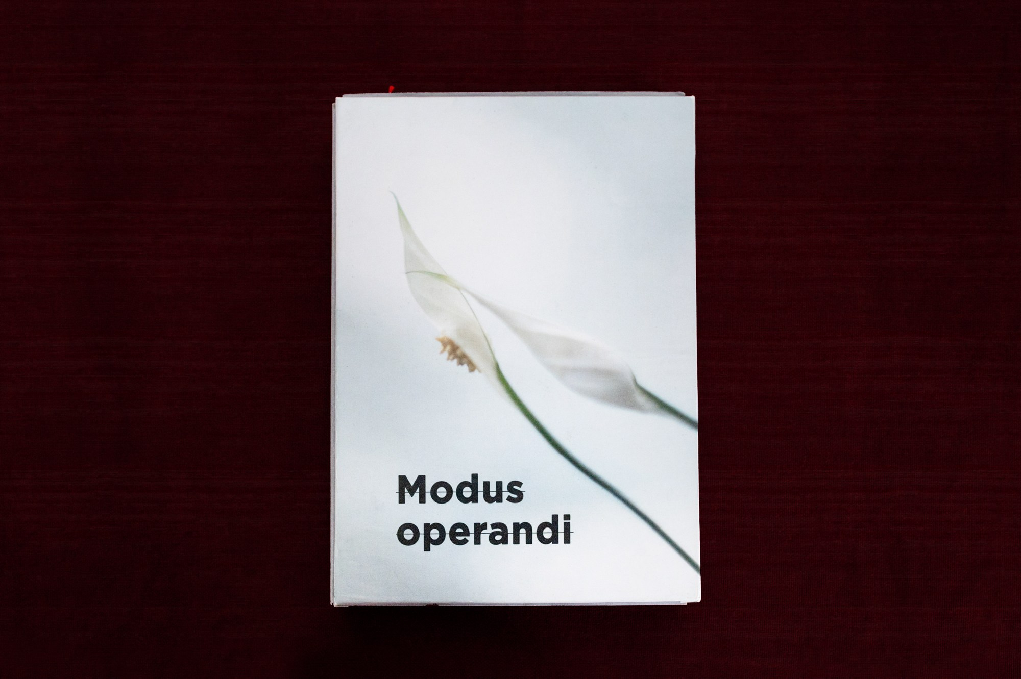 Образ действия. Наталия Шульгина — визуальный художник, фотограф