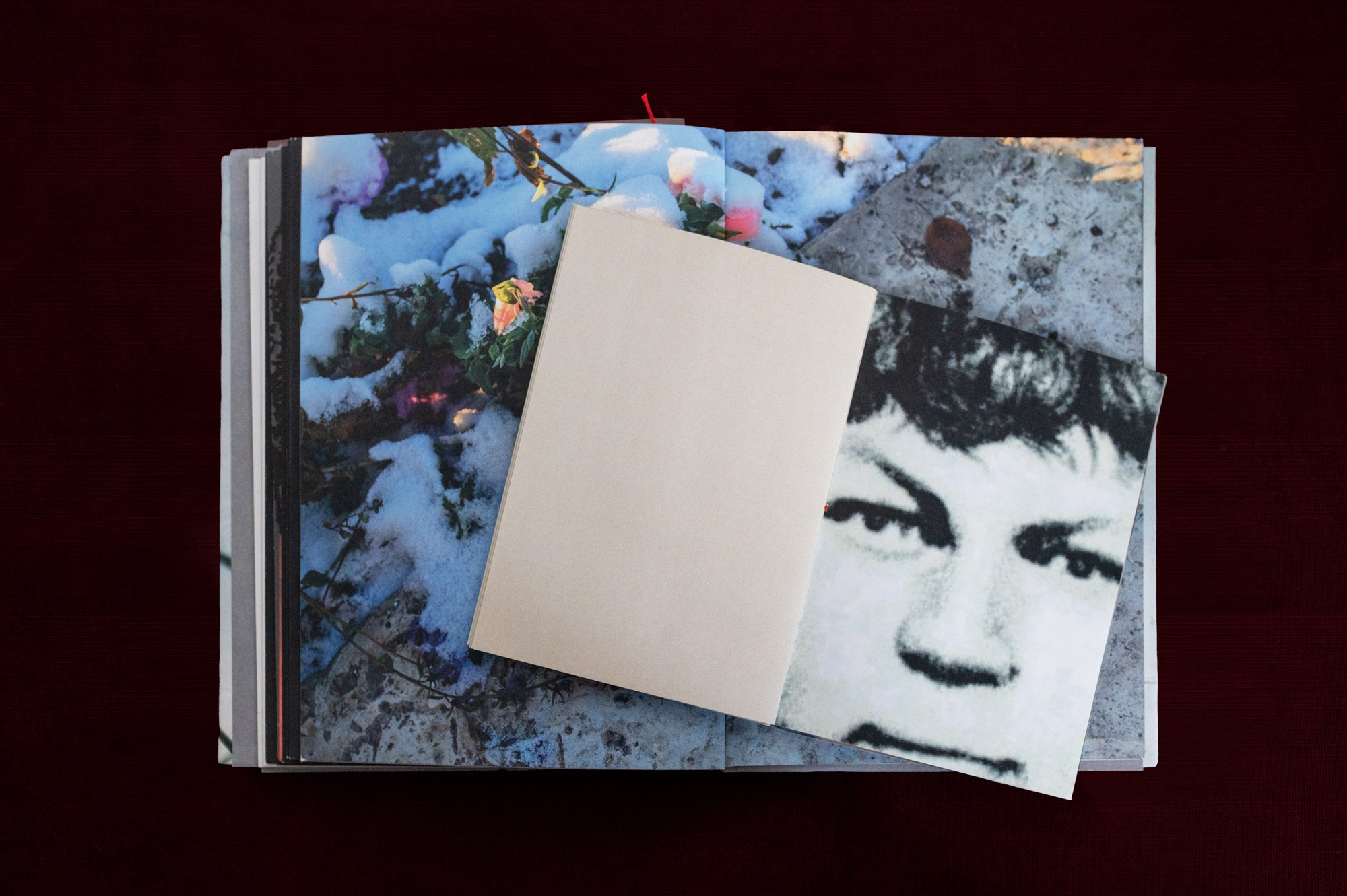 Образ действия. Наталия Шульгина — визуальный художник, фотограф