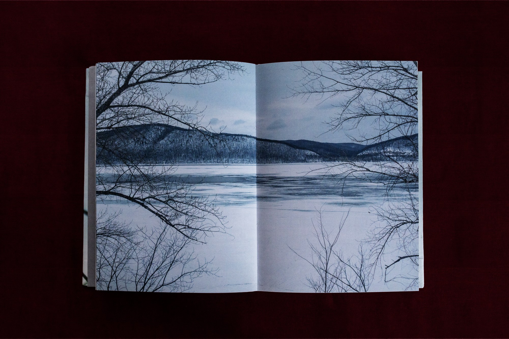 Образ действия. Наталия Шульгина — визуальный художник, фотограф