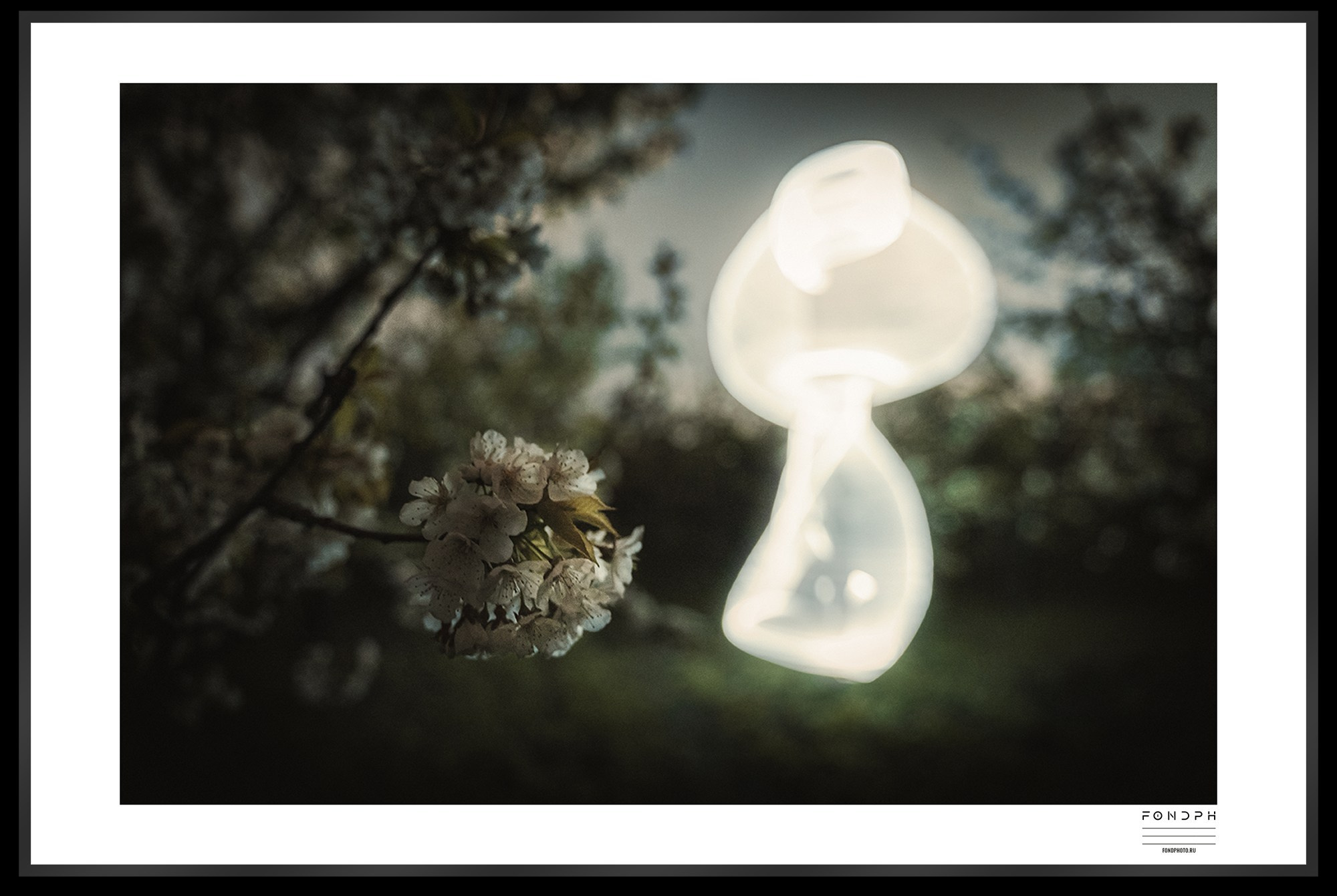 Лимитированные принты Light Sculptures. Ночной арт фотограф Савенко Сергей Ростов-на-Дону FONDphoto FONDph