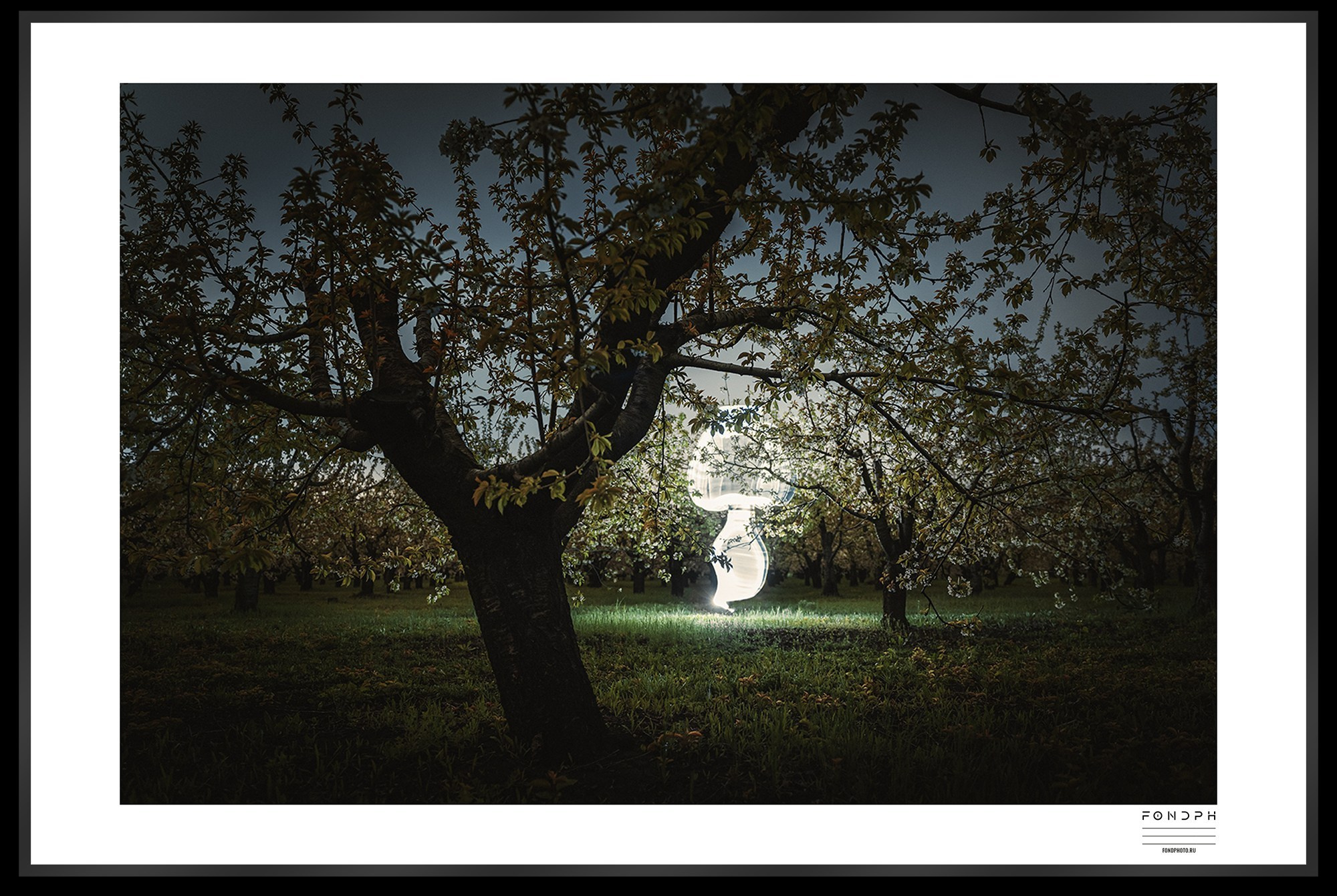 Лимитированные принты Light Sculptures. Ночной арт фотограф Савенко Сергей Ростов-на-Дону FONDphoto FONDph