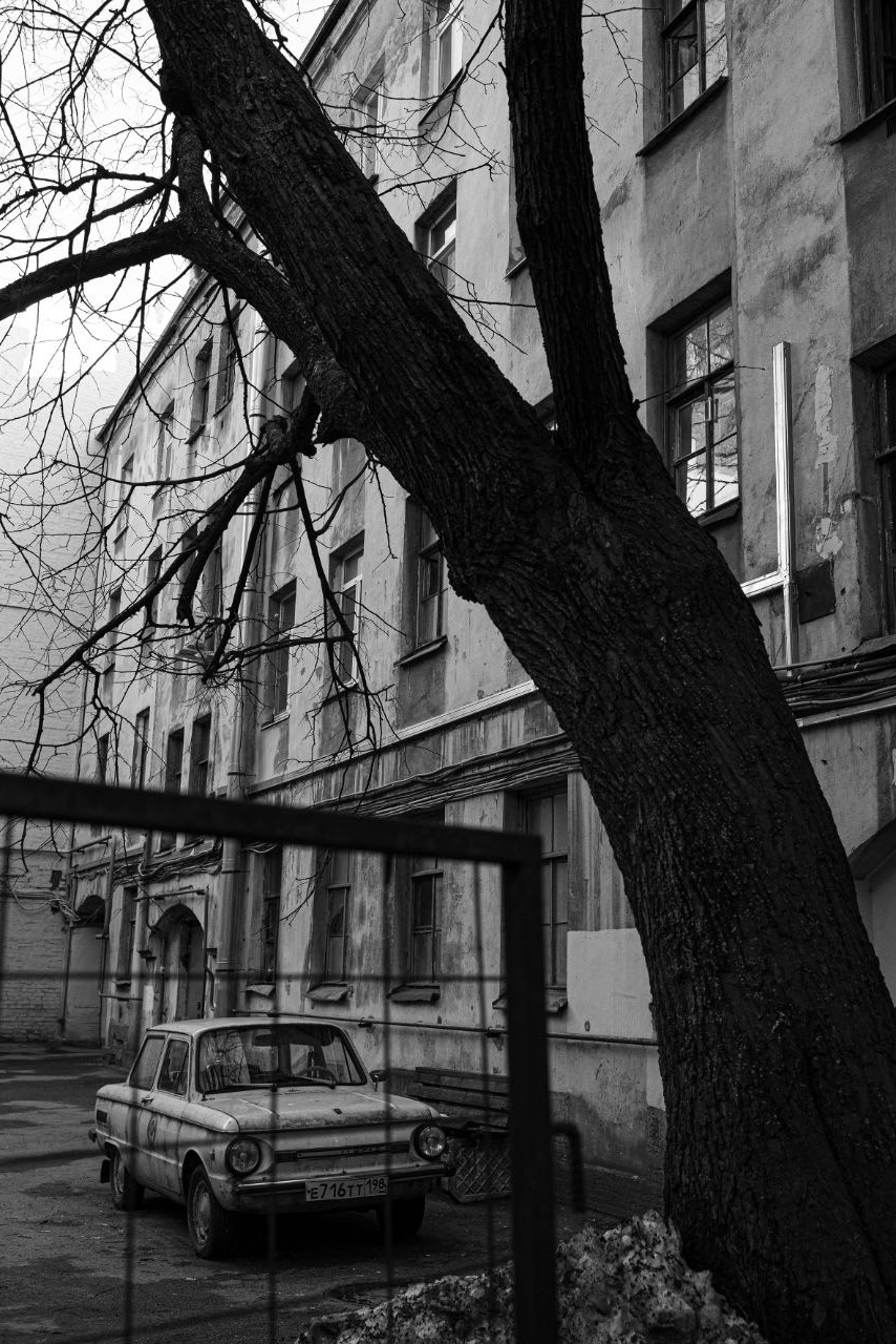 Фотограф Твердохлебова Дарья, г. Санкт-Петербург