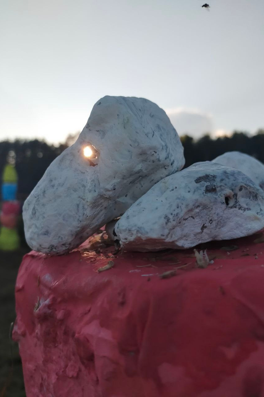 Цветной кромлех. Елизавета БаковА