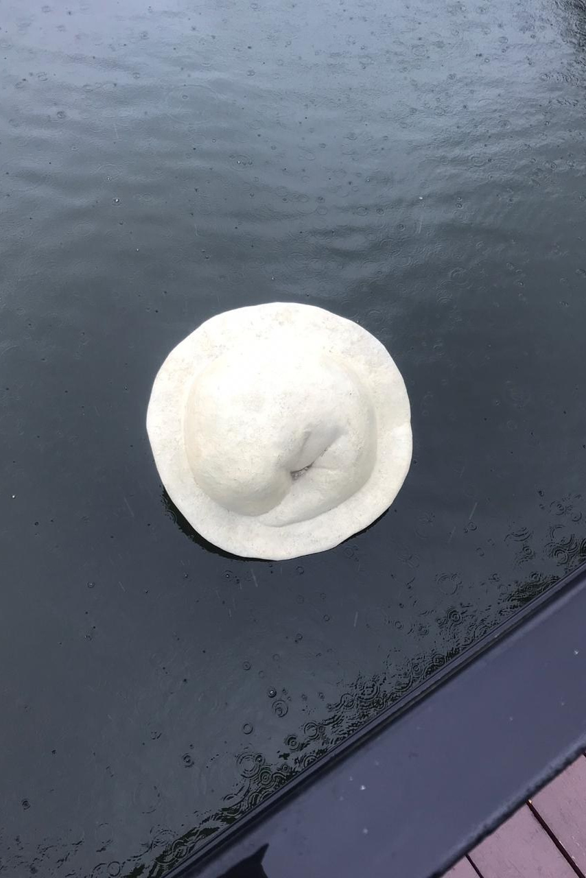 Пельмень Дружбы. Художник Рыбак Николай