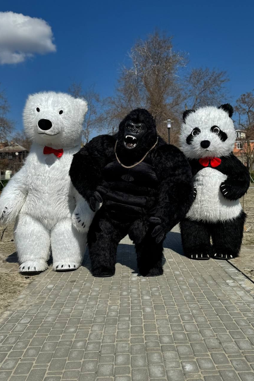 детская фотосессия в семикаракорске, ростовые куклы медведь, панда, горилла ,экспресс поздравление,выезд на дом