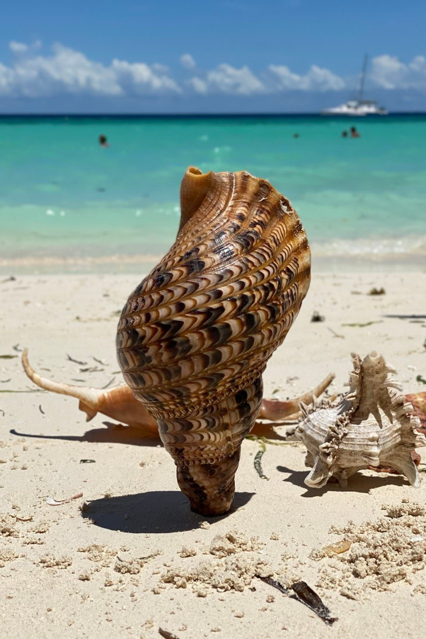 Африка. Туры по России и миру