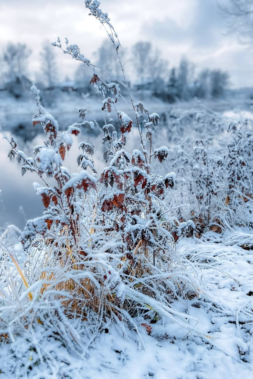 Работы учеников. ФОТОШКОЛА VISION — курс по мобильной фотографии в Москве, курс по фотографии Владимира Васильева