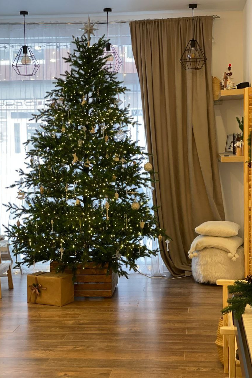 Студии с новогодним декором. Семейный и свадебный фотограф Губкинский и Ставрополь