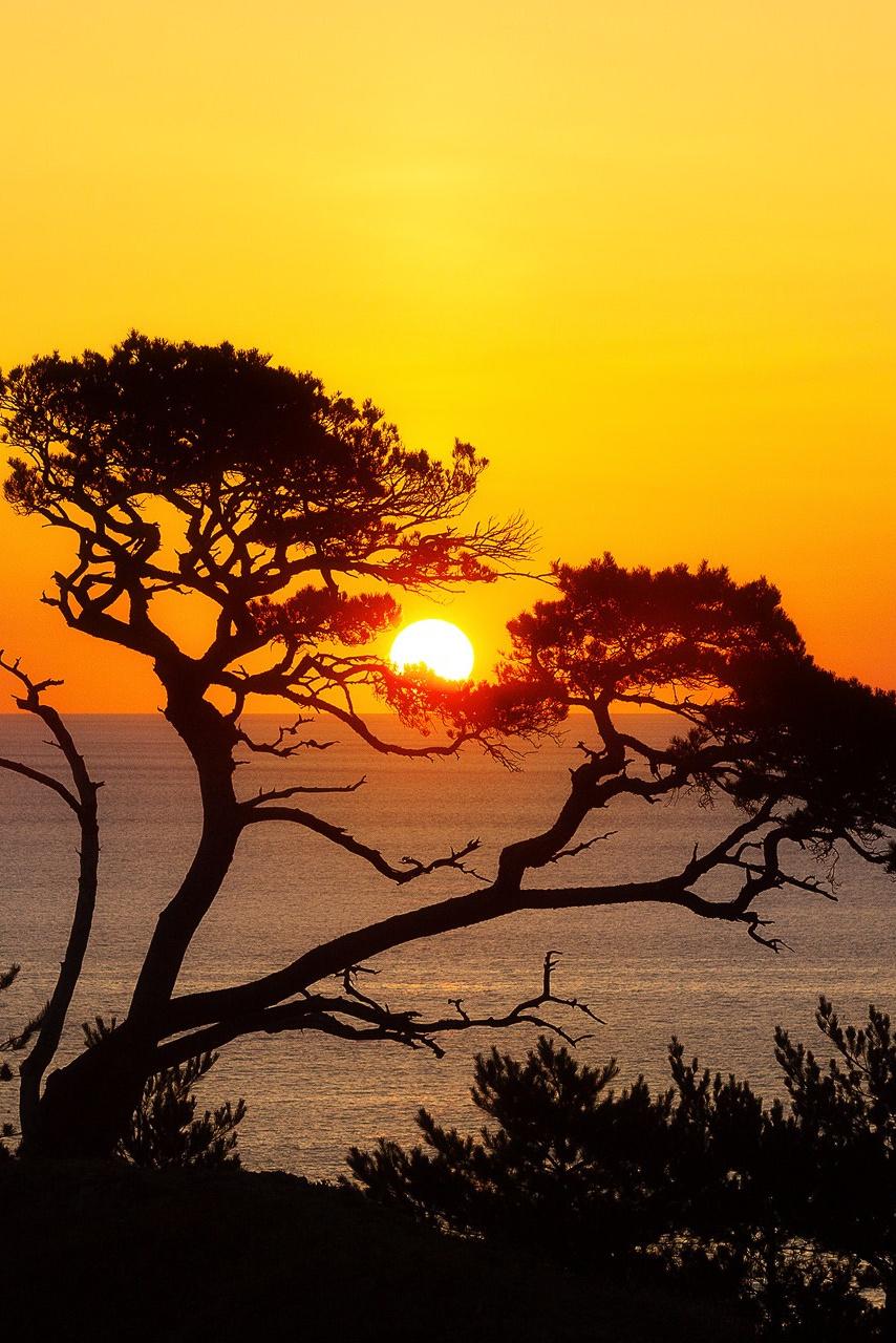 Фототур по Приморью. Фототуры и обучение пейзажной фотографии