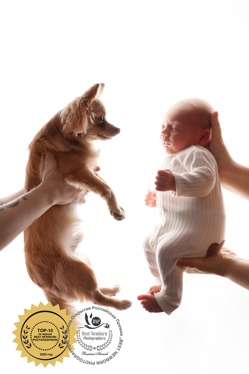 ОБО МНЕ. Фотограф новорожденных беременных в Тюмени Ткачук Татьяна