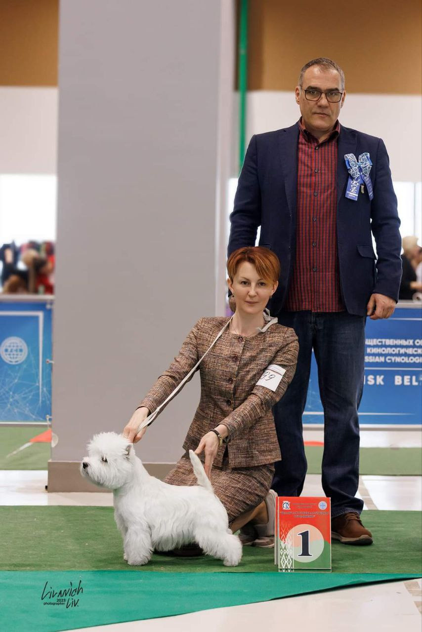 Новости питомника собак. Питомник собак породы вест хайленд вайт терьер в Москве