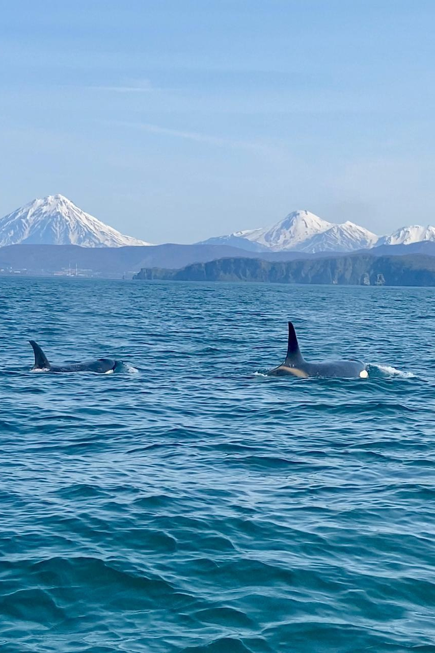 Экскурсии по Камчатке. Туры и экскурсии на Камчатку