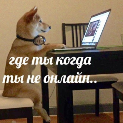 Музыкальная экспедиция на Белое море. Творческий лагерь для взрослых