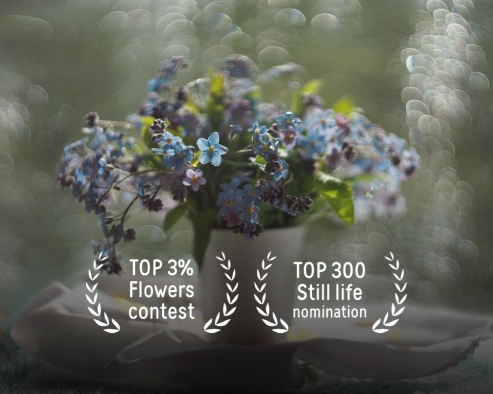35awards. Фотограф-анималист в Москве Анжелика Бутько