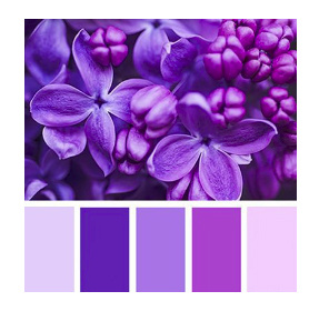 Выбор одежды для фотосессии в цветущих садах