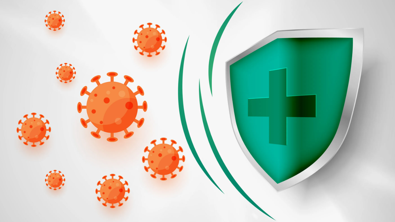 противовирусная программа от компании сово-сова