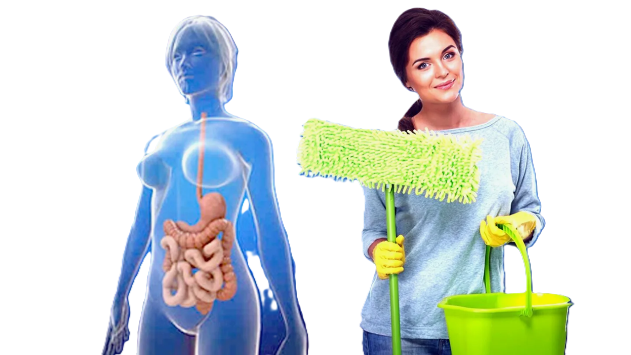 какими продуктами компании сово-сова можно почистить организм. Препараты для очищения организма сово-сово