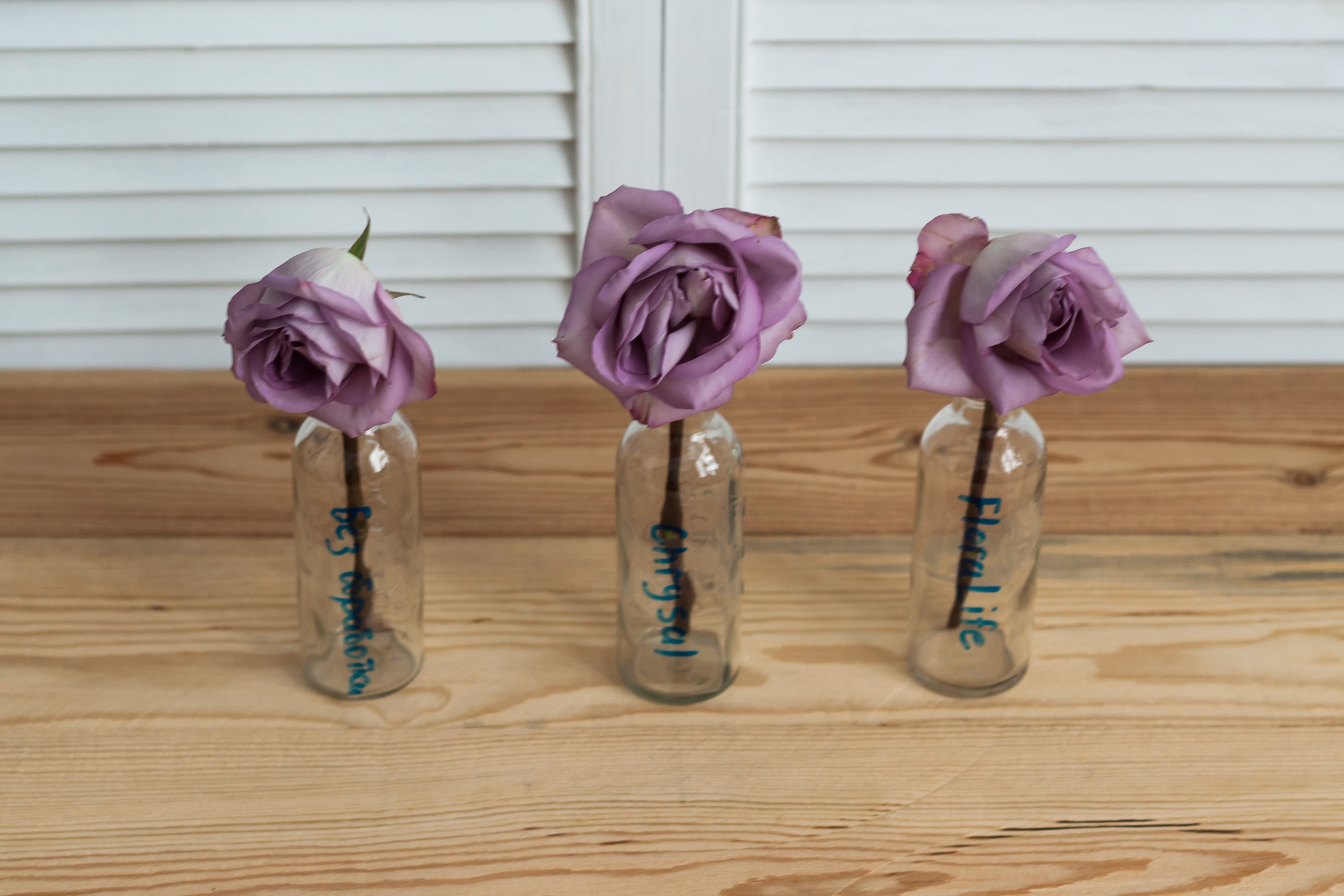 Тестируем средства для финишной обработки цветов. Флорист Маргарита Гладкова