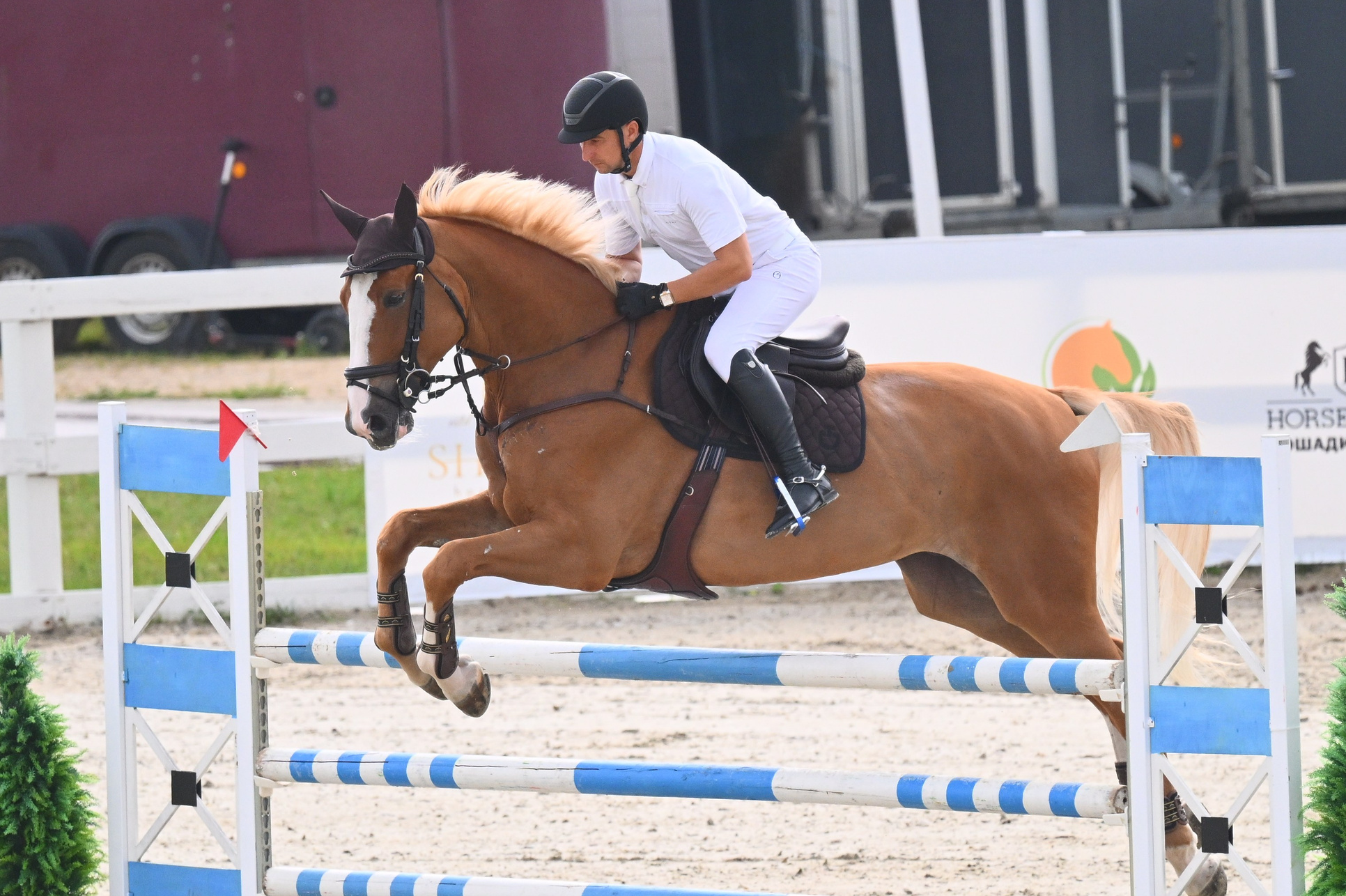 КСК Horseka, Чемпионат Росии+Молодые+Клубные, 30 июля — 3 августа,. ТУРНИРНАЯ КОННАЯ ФОТОГРАФИЯ, Руднева Ольга и Евгений Адеев