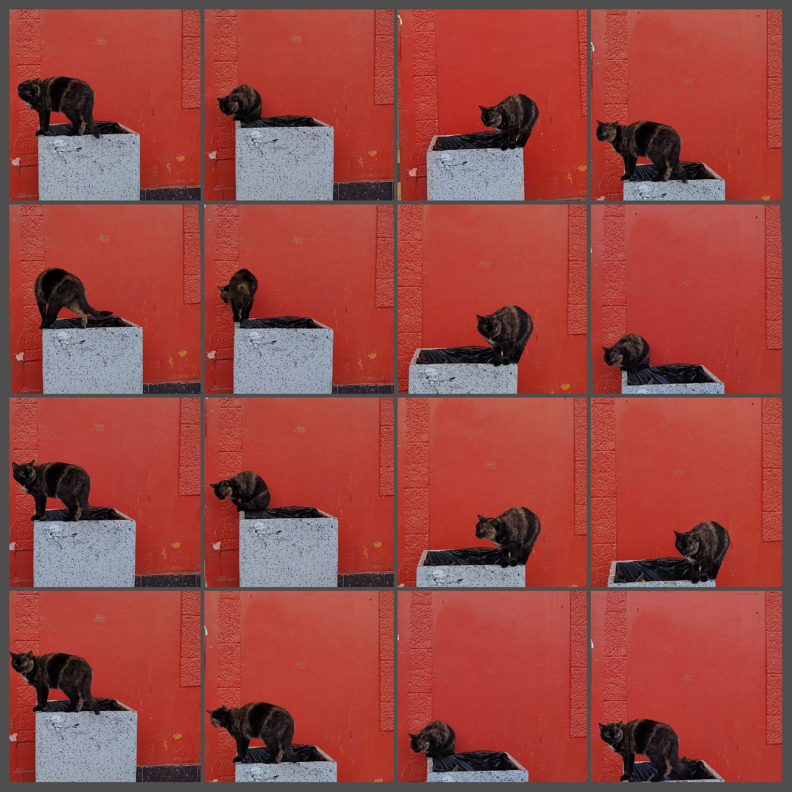 Энтропия. Главная