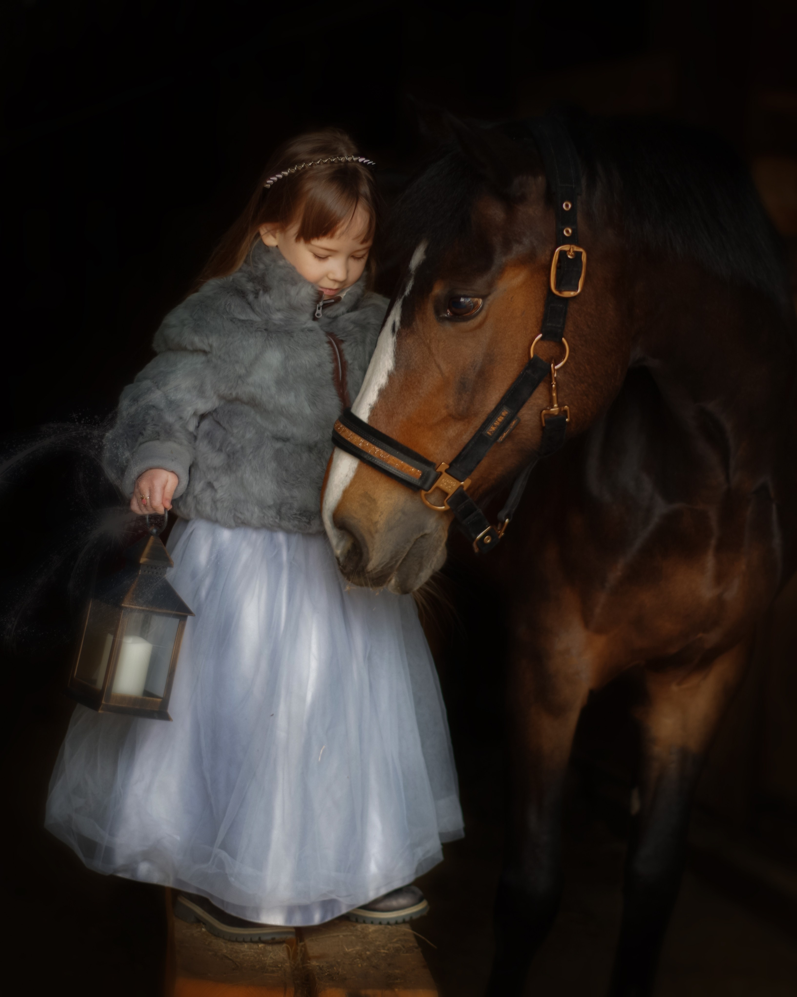 Услуги и цены. Фотограф Марина Доглядная Челябинск фотосессии с лошадьми, мотоциклами