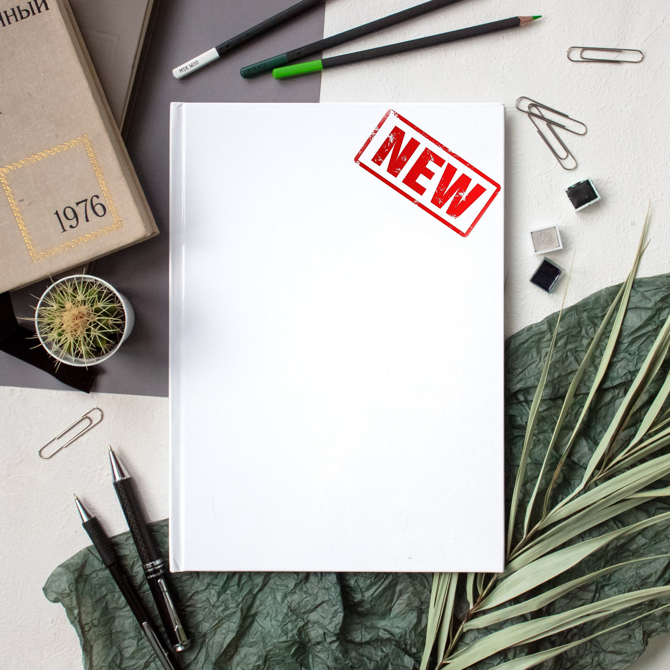 СТАРШИЕ КЛАССЫ. Егор Засыпыч