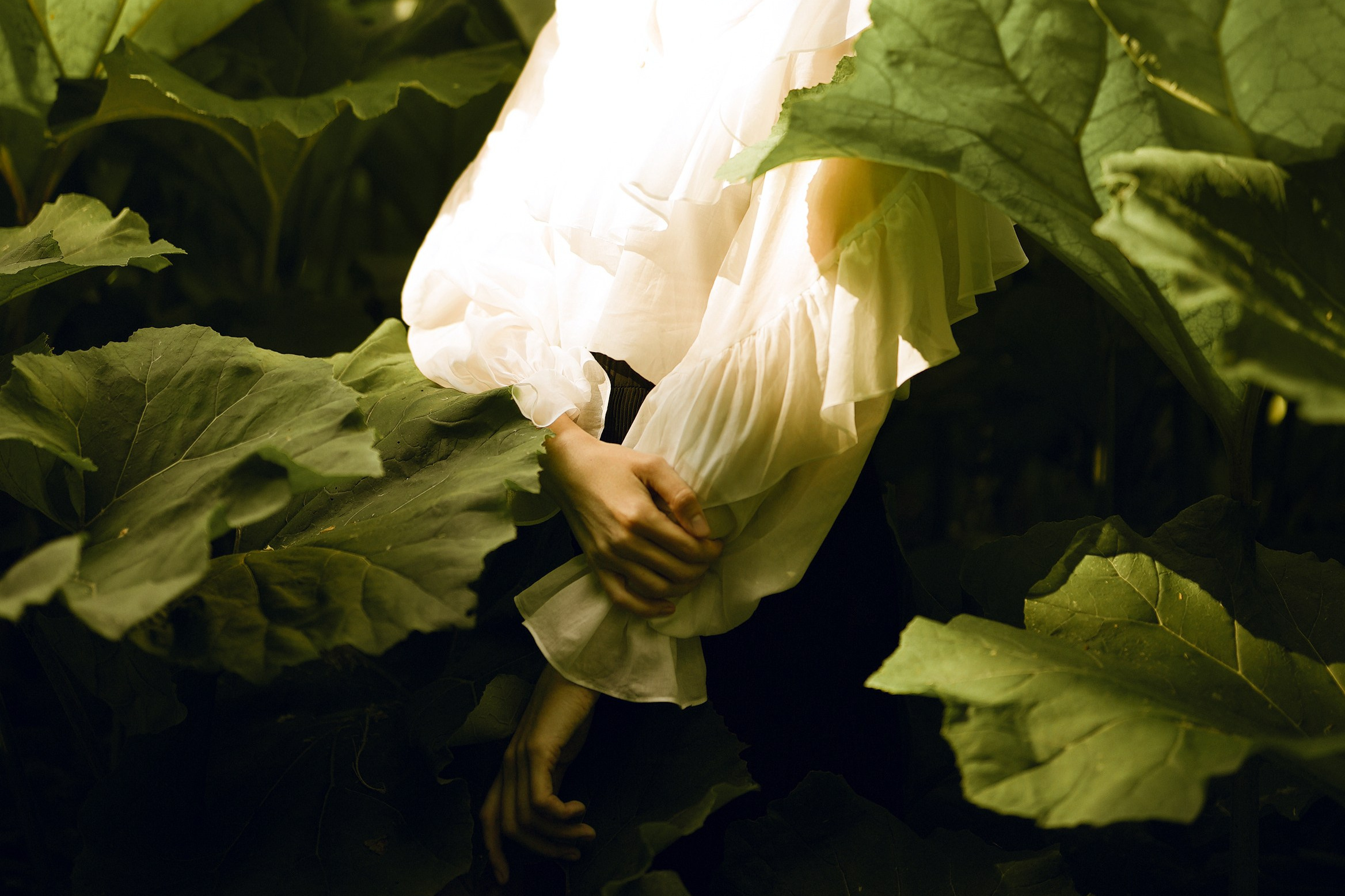 Стоимость услуг. Персональный фотограф в Москве Евгения Фабина