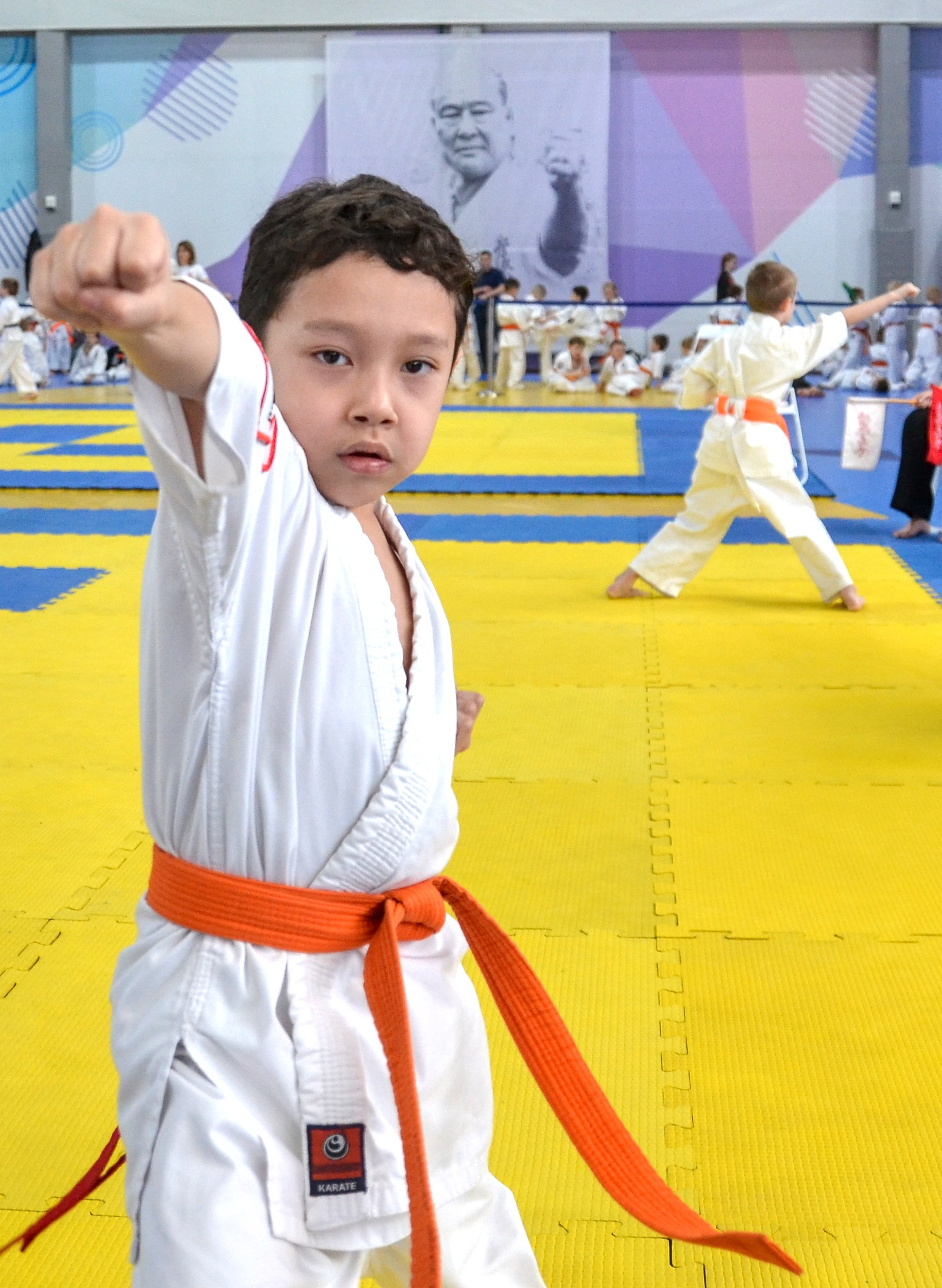 Киокусинкай карате