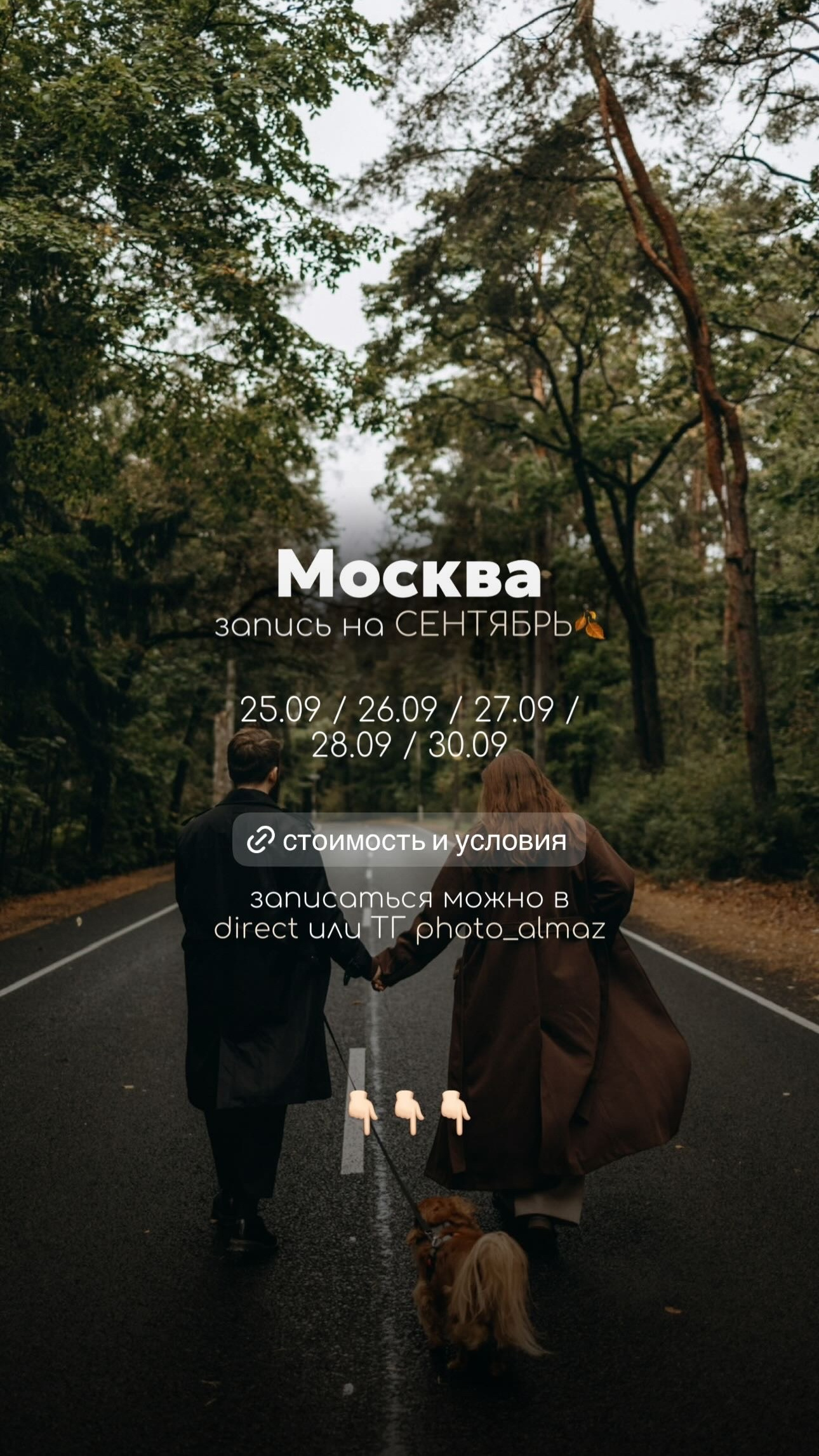 Расписание. Фотограф — Анималист | Санкт-Петербург и Москва