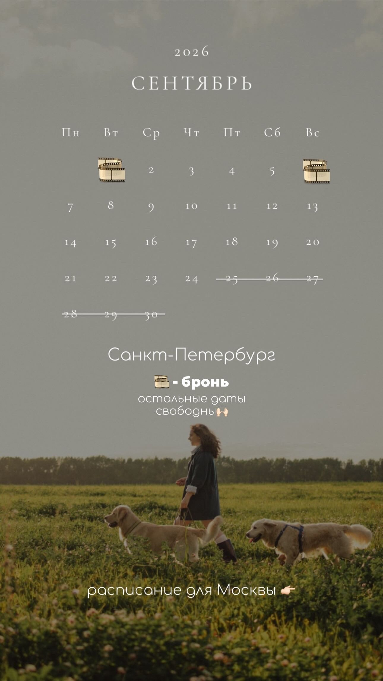 Расписание. Фотограф — Анималист | Санкт-Петербург и Москва