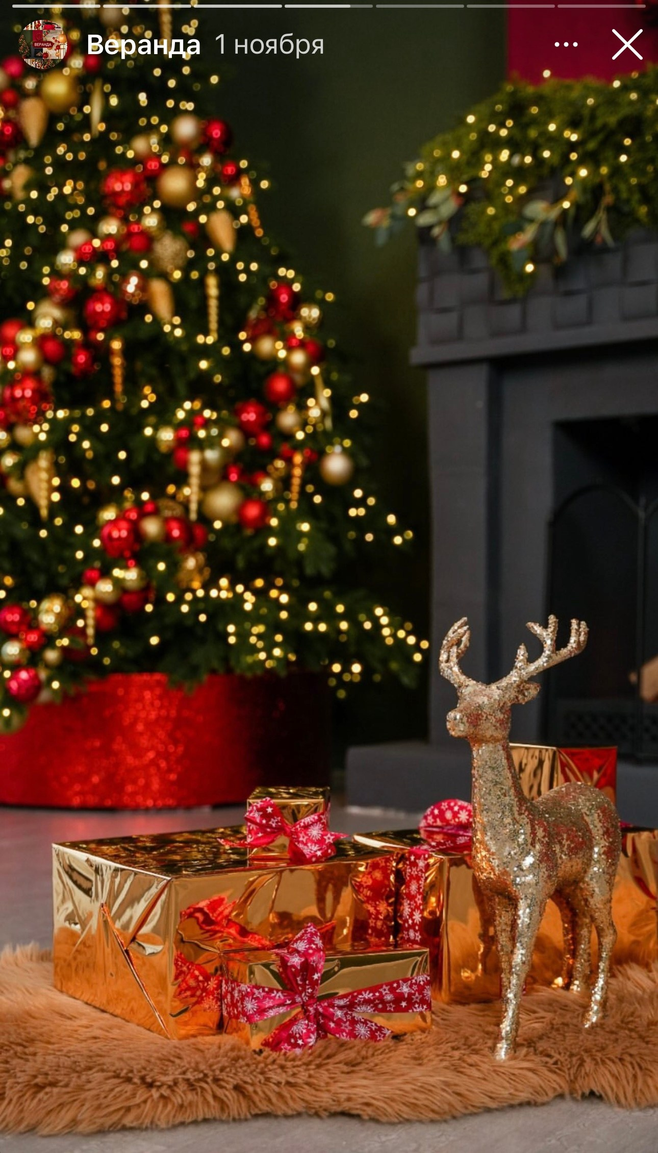 ЗАЛ ВЕРАНДА РЕКОМЕНДАЦИИ ФОТОГРАФА ДЛЯ СЕМЕЙНОЙ ФОТОСЕССИИИ