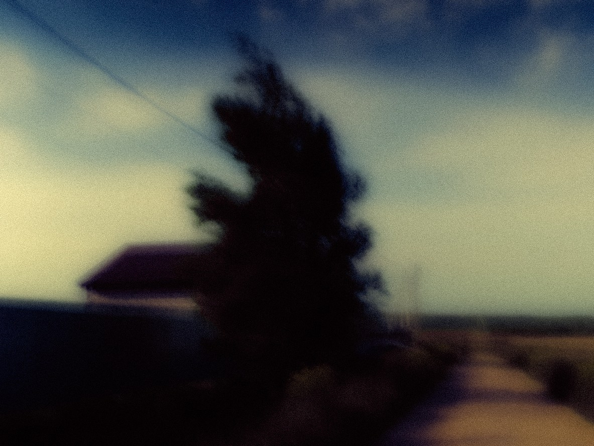 Maria Vdovina | фотограф и художник