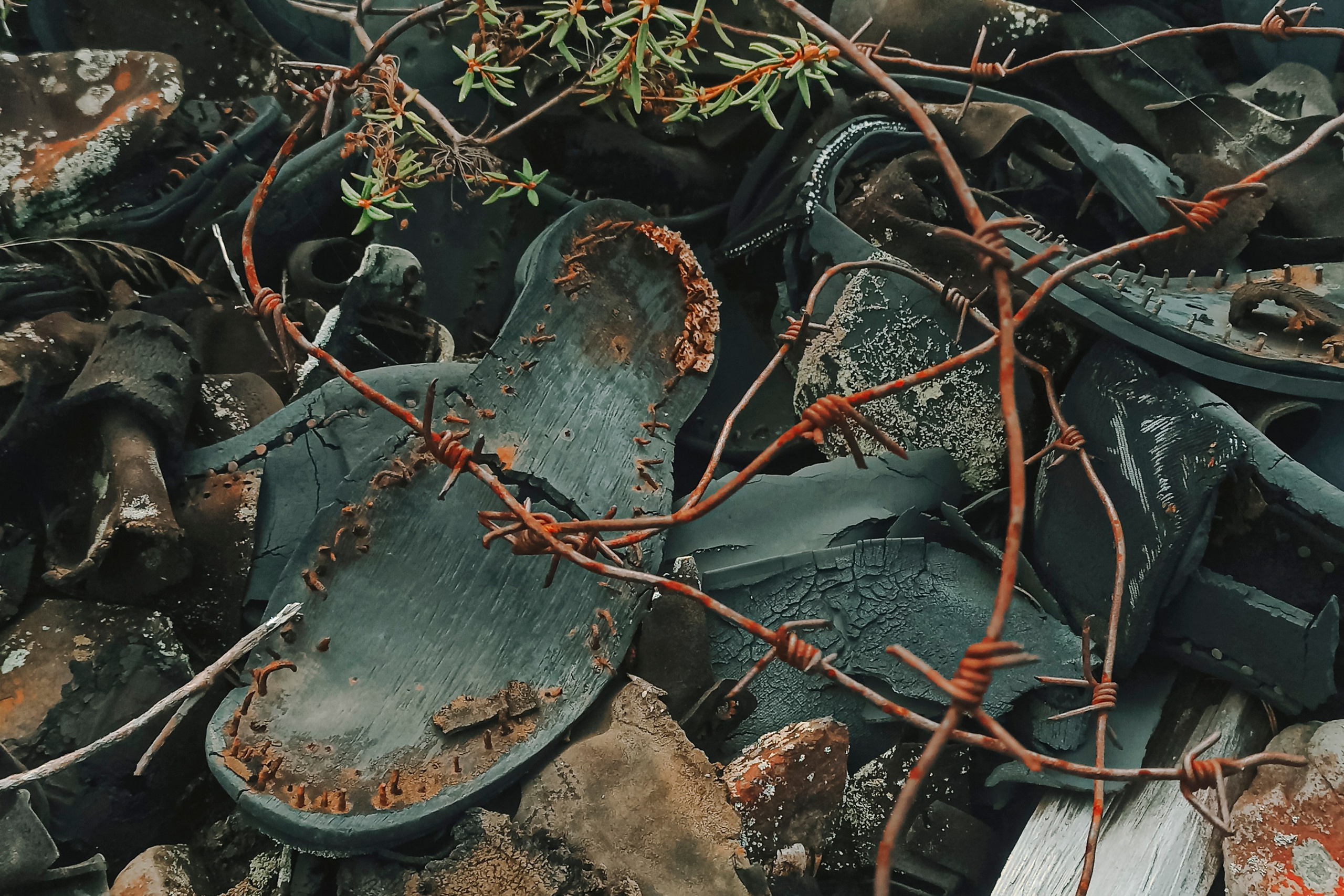 Купить принты. Планета Колыма. Elina Gusarova