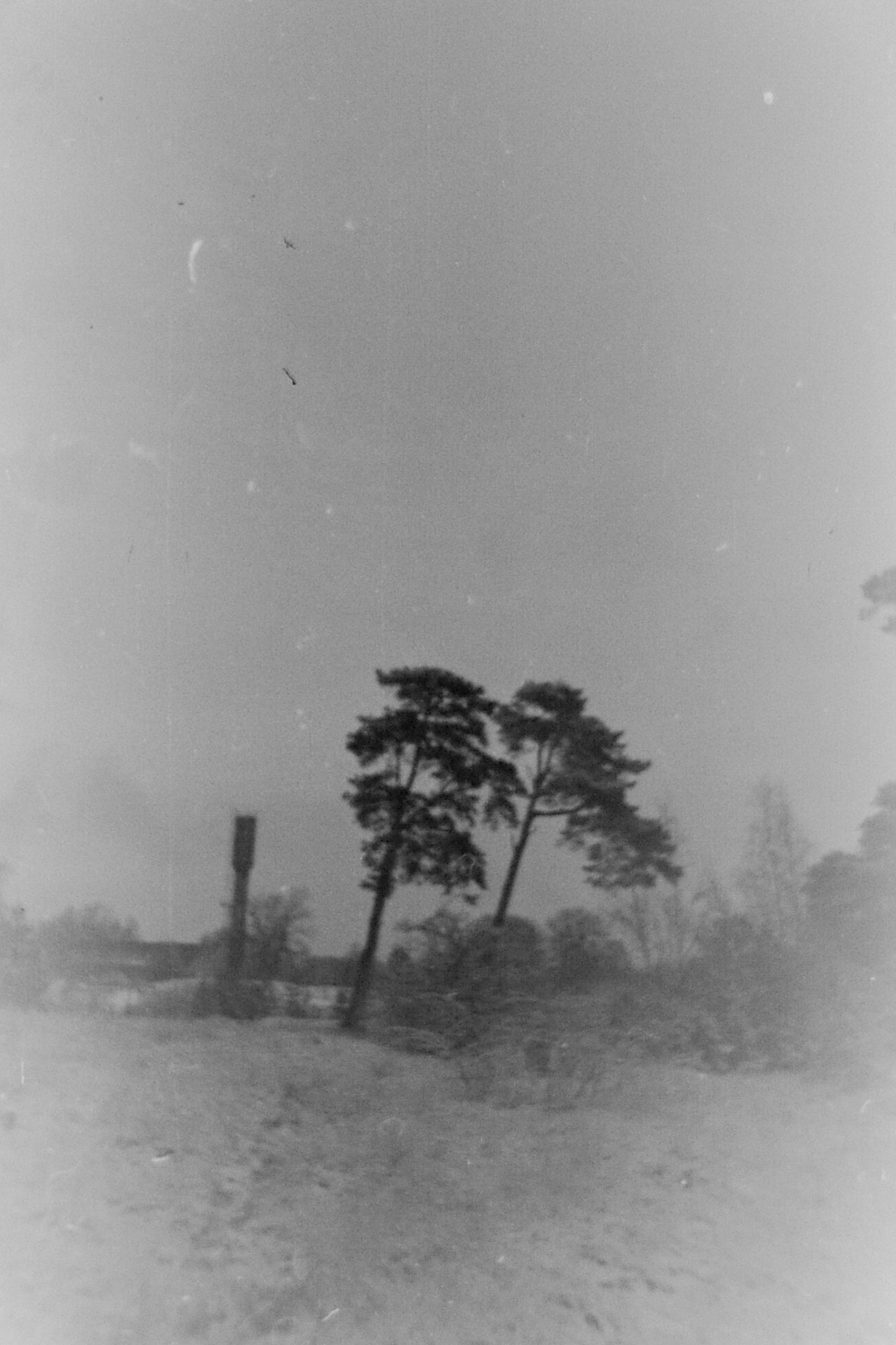 Кураторский проект «Инородное тело»