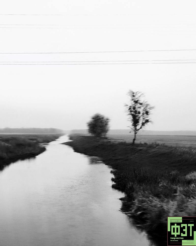 Альбом 15.02.26 в рамках ФЭТ