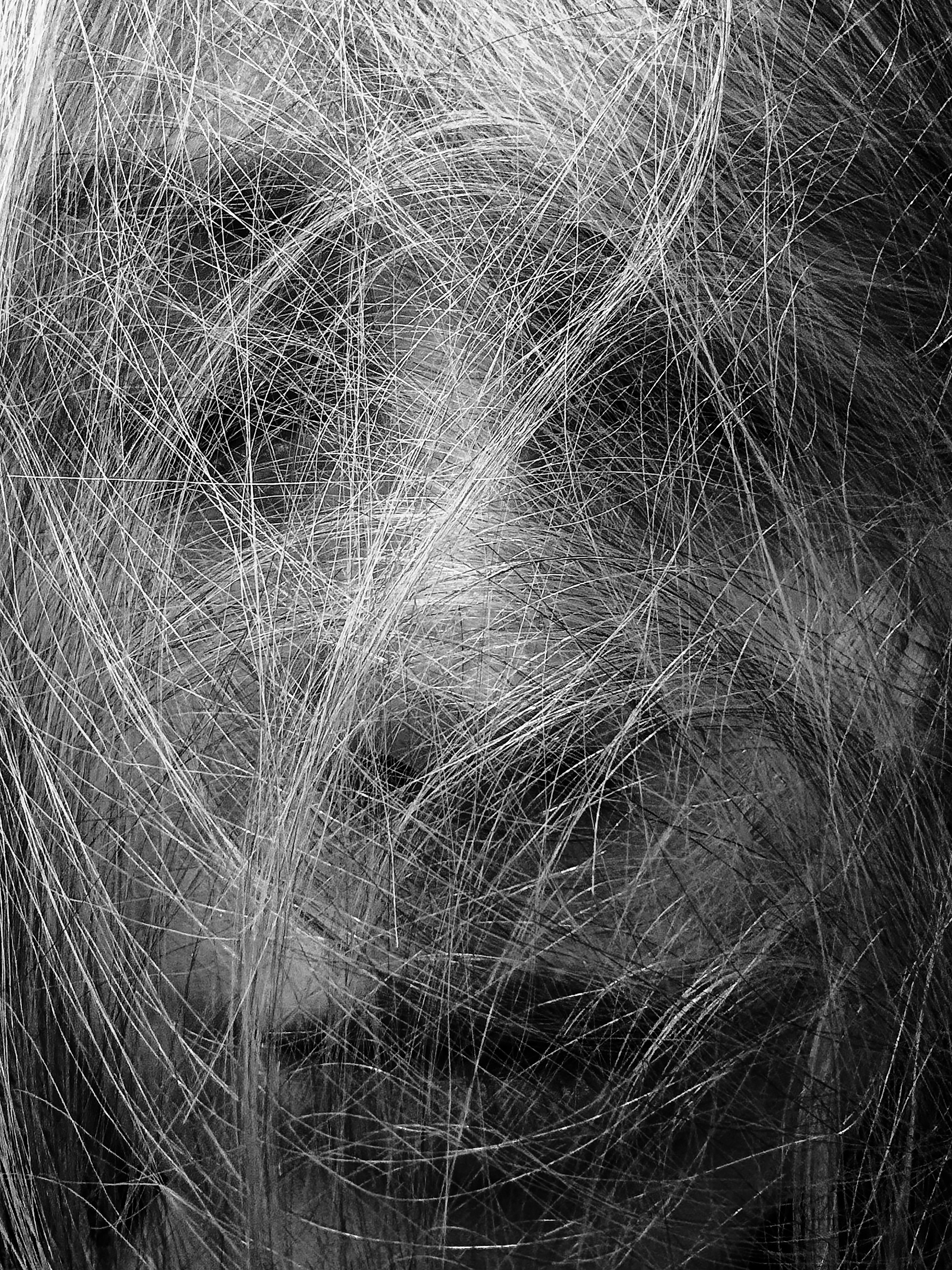 Дунаева Наталия. ARTEXPOPHOTO
