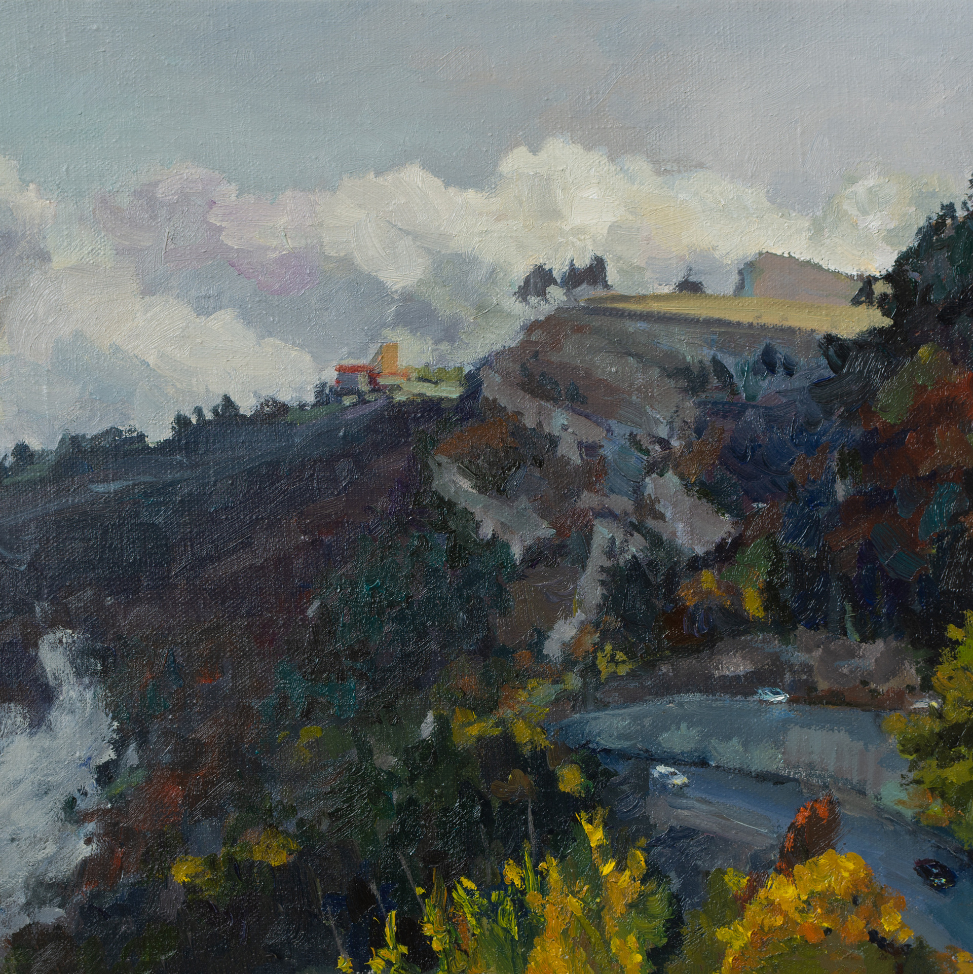 Художник Анна Письменскова