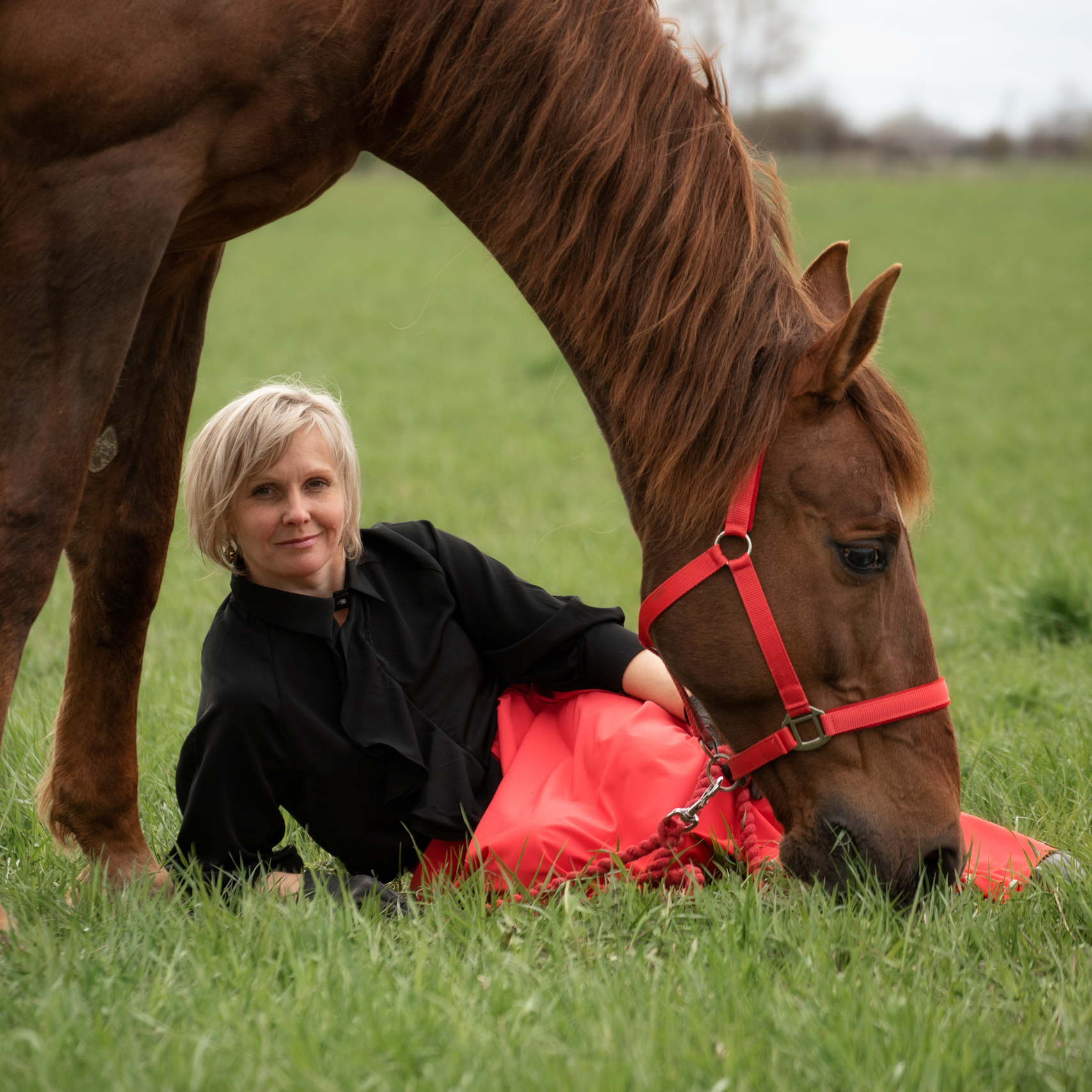  фото с лошадью, фотография с лошадью, конный фотограф, съемка лошадей, фотограф лошадей, конная фотография, конный фотограф, конный фотограф в спб, профессиональный фотограф спб, фотограф спб, фотосессия с лошадьми, конная прогулка, верховая езда, конные прогулки, фотосессия недорого, фотограф спб, недорого фото, сниму с лошадью