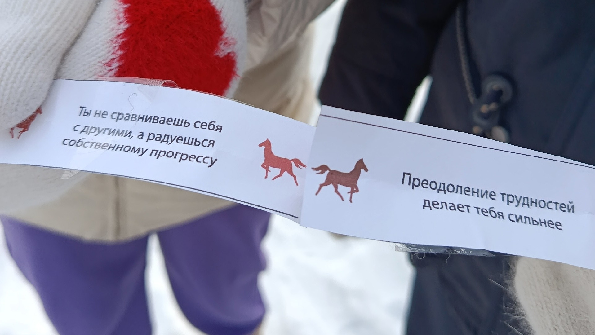 Новогоднее мероприятие для особенных детей 2026. Конные прогулки в клубе «Анкор» — Омск