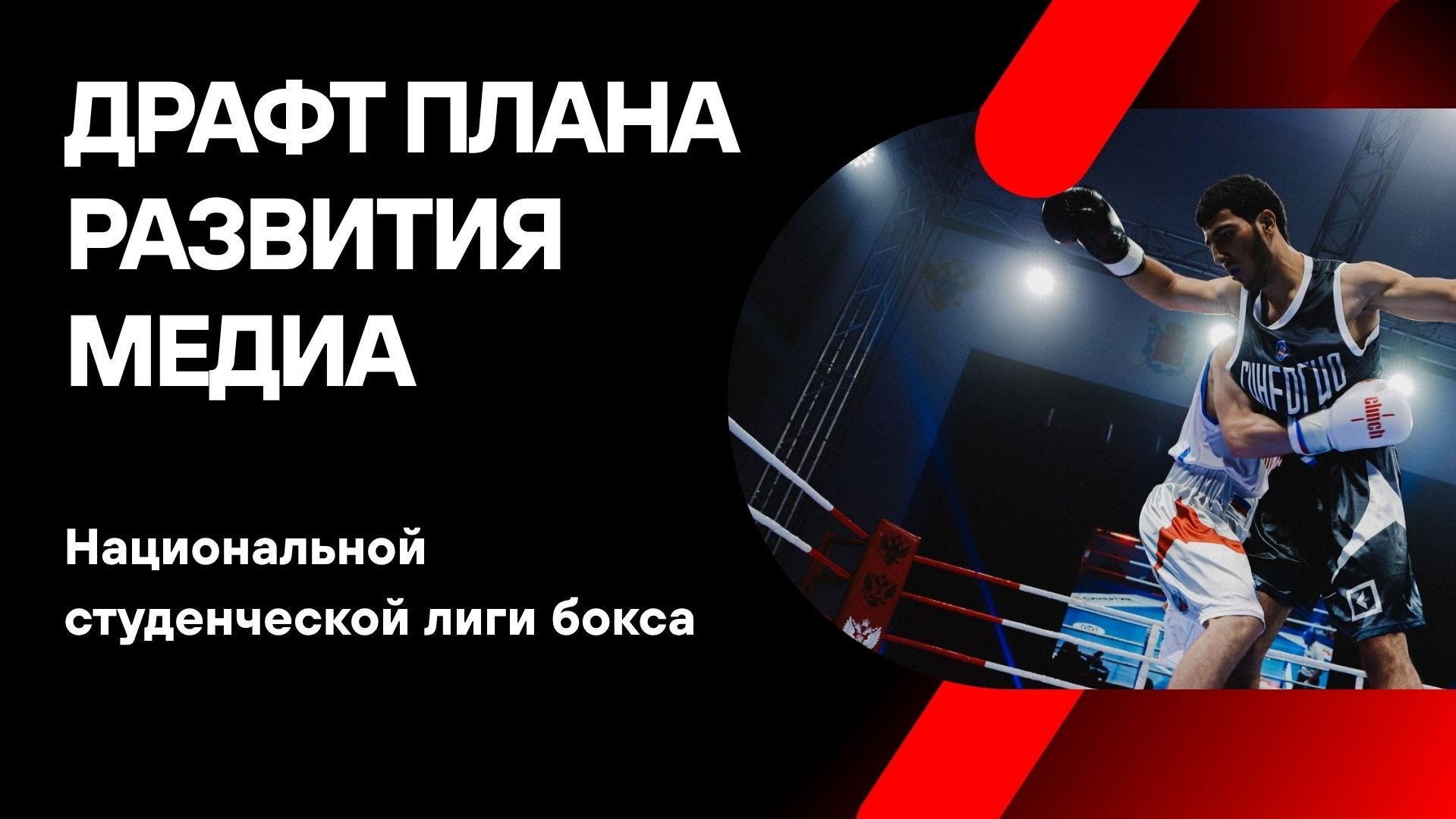 Портфолио. Контент-специалист Екатерина Гнатюк