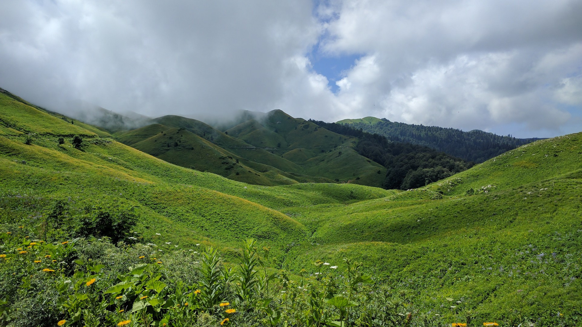 Фототур «Абхазия в бархатный сезон» 21–27 сентября. Ольга Котова
