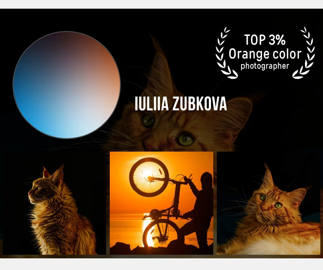 Мои достижения. Фотограф-анималист Юлия Зубкова