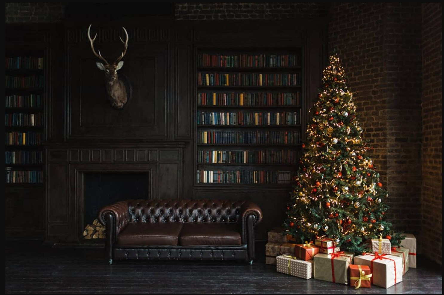 Новый год 2024. Фотограф в Москве и Одинцово